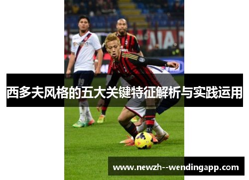西多夫风格的五大关键特征解析与实践运用